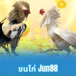 ชนไก่ Jun88: ศิลปะและวัฒนธรรมที่มีเสน่ห์